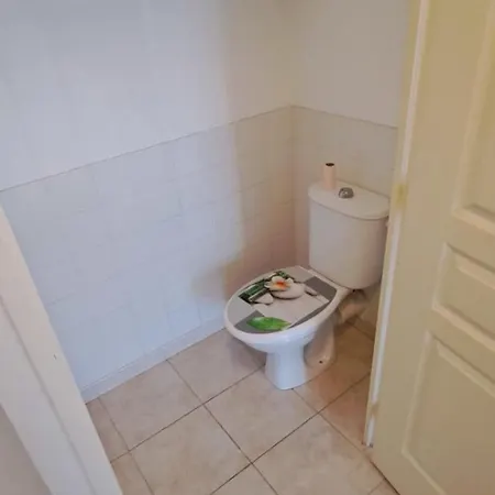 Apartment Spacious With Furnished Terrace Hyeres